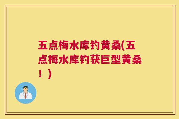 五点梅水库钓黄桑(五点梅水库钓获巨型黄桑!) 五点梅水库钓黄桑(五点梅水库钓获巨型黄桑!)