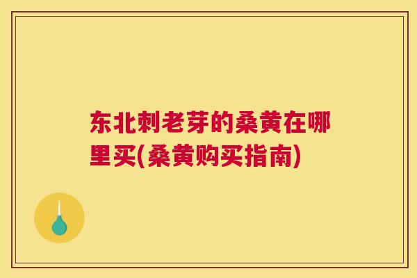 东北刺老芽的桑黄在哪里买(桑黄购买指南) 东北刺老芽的桑黄在哪里买(桑黄购买指南)
