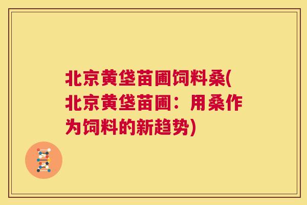 北京黄垡苗圃饲料桑(北京黄垡苗圃:用桑作为饲料的新趋势) 北京黄垡苗圃饲料桑(北京黄垡苗圃:用桑作为饲料的新趋势)