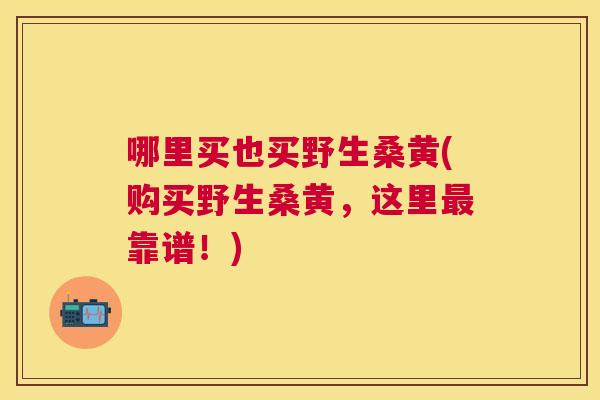 哪里买也买野生桑黄(购买野生桑黄,这里靠谱!) 哪里买也买野生桑黄(购买野生桑黄,这里靠谱!)
