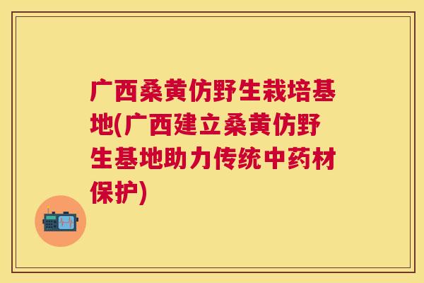 广西桑黄仿野生栽培基地(广西建立桑黄仿野生基地助力传统材保护) 广西桑黄仿野生栽培基地(广西建立桑黄仿野生基地助力传统材保护)