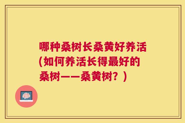 哪种桑树长桑黄好养活(如何养活长得好的桑树——桑黄树?) 哪种桑树长桑黄好养活(如何养活长得好的桑树——桑黄树?)
