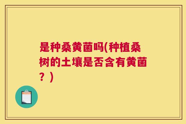 是种桑黄菌吗(种植桑树的土壤是否含有黄菌?) 是种桑黄菌吗(种植桑树的土壤是否含有黄菌?)