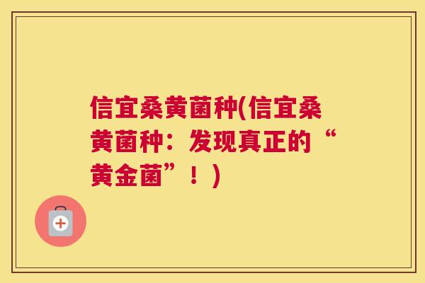信宜桑黄菌种(信宜桑黄菌种:发现真正的“黄金菌”!) 信宜桑黄菌种(信宜桑黄菌种:发现真正的“黄金菌”!)