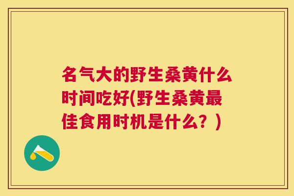 名气大的野生桑黄什么时间吃好(野生桑黄佳食用时机是什么？)