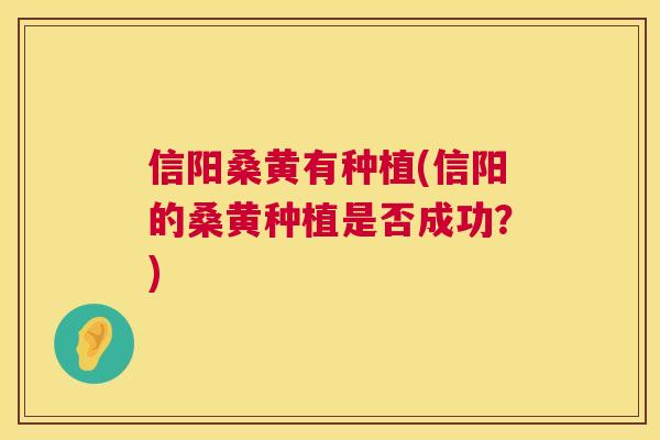 信阳桑黄有种植(信阳的桑黄种植是否成功?) 信阳桑黄有种植(信阳的桑黄种植是否成功?)