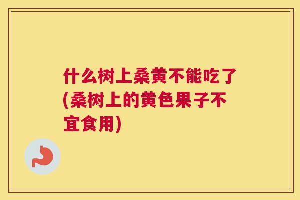 什么树上桑黄不能吃了(桑树上的黄色果子不宜食用)