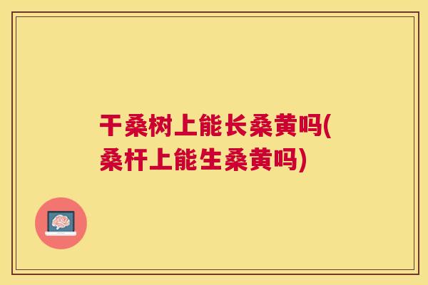 干桑树上能长桑黄吗(桑杆上能生桑黄吗)