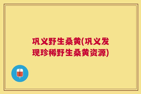 巩义野生桑黄(巩义发现珍稀野生桑黄资源) 巩义野生桑黄(巩义发现珍稀野生桑黄资源)