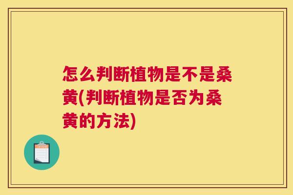 怎么判断植物是不是桑黄(判断植物是否为桑黄的方法) 怎么判断植物是不是桑黄(判断植物是否为桑黄的方法)
