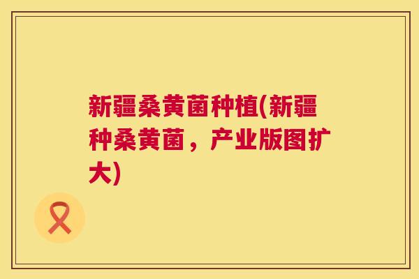 新疆桑黄菌种植(新疆种桑黄菌,产业版图扩大) 新疆桑黄菌种植(新疆种桑黄菌,产业版图扩大)