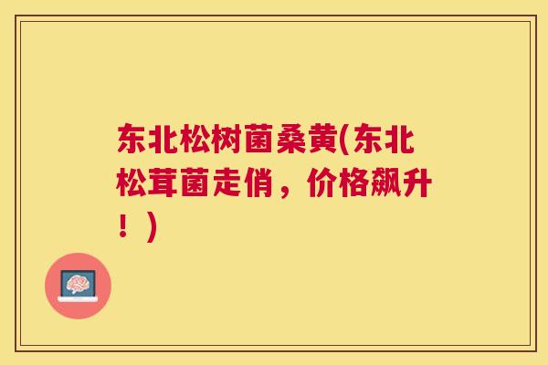 东北松树菌桑黄(东北松茸菌走俏,价格飙升!) 东北松树菌桑黄(东北松茸菌走俏,价格飙升!)