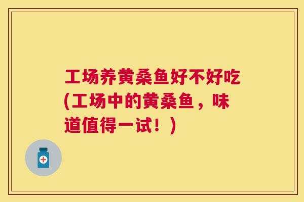 工场养黄桑鱼好不好吃(工场中的黄桑鱼,味道值得一试!) 工场养黄桑鱼好不好吃(工场中的黄桑鱼,味道值得一试!)