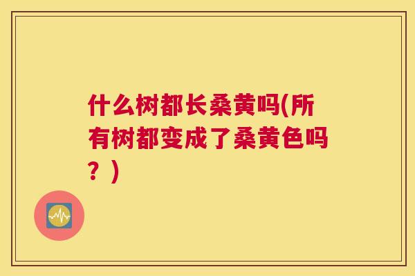 什么树都长桑黄吗(所有树都变成了桑黄色吗?) 什么树都长桑黄吗(所有树都变成了桑黄色吗?)