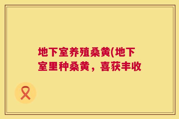 地下室养殖桑黄(地下室里种桑黄,喜获丰收 地下室养殖桑黄(地下室里种桑黄,喜获丰收
