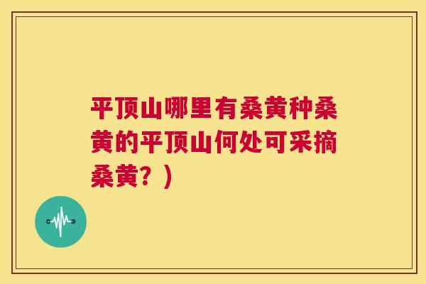 平顶山哪里有桑黄种桑黄的平顶山何处可采摘桑黄？)