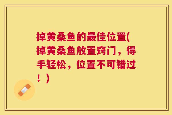 掉黄桑鱼的佳位置(掉黄桑鱼放置窍门,得手轻松,位置不可错过!) 掉黄桑鱼的佳位置(掉黄桑鱼放置窍门,得手轻松,位置不可错过!)
