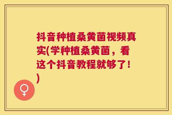 抖音种植桑黄菌视频真实(学种植桑黄菌,看这个抖音教程就够了!) 抖音种植桑黄菌视频真实(学种植桑黄菌,看这个抖音教程就够了!)