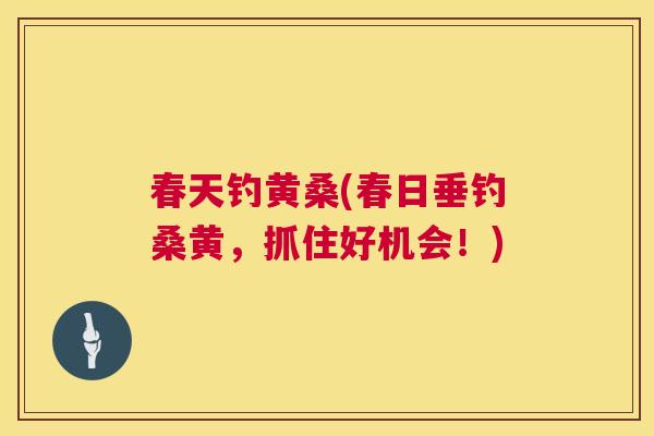 春天钓黄桑(春日垂钓桑黄,抓住好机会!) 春天钓黄桑(春日垂钓桑黄,抓住好机会!)