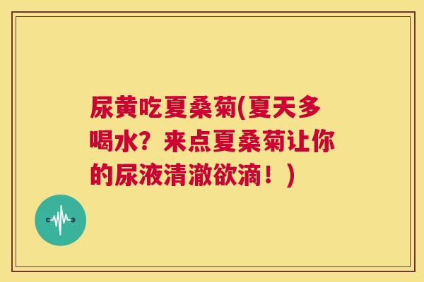 尿黄吃夏桑菊(夏天多喝水?来点夏桑菊让你的尿液清澈欲滴!) 尿黄吃夏桑菊(夏天多喝水?来点夏桑菊让你的尿液清澈欲滴!)