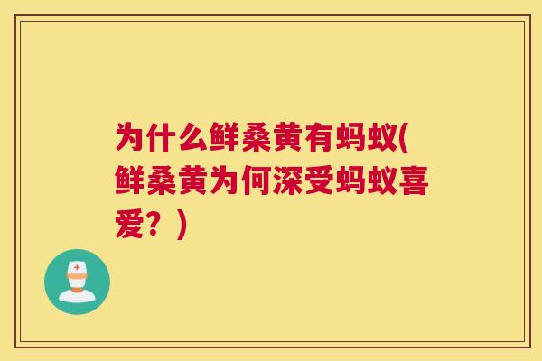 为什么鲜桑黄有蚂蚁(鲜桑黄为何深受蚂蚁喜爱?) 为什么鲜桑黄有蚂蚁(鲜桑黄为何深受蚂蚁喜爱?)