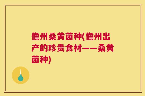 儋州桑黄菌种(儋州出产的珍贵食材——桑黄菌种) 儋州桑黄菌种(儋州出产的珍贵食材——桑黄菌种)