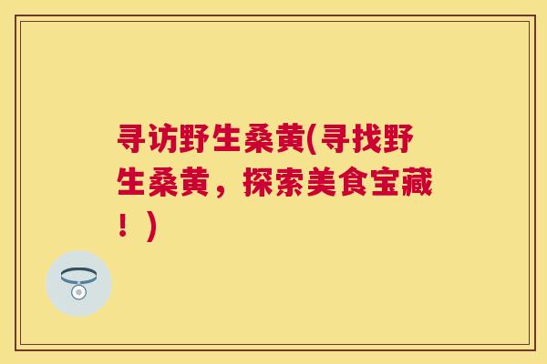 寻访野生桑黄(寻找野生桑黄,探索美食宝藏!) 寻访野生桑黄(寻找野生桑黄,探索美食宝藏!)