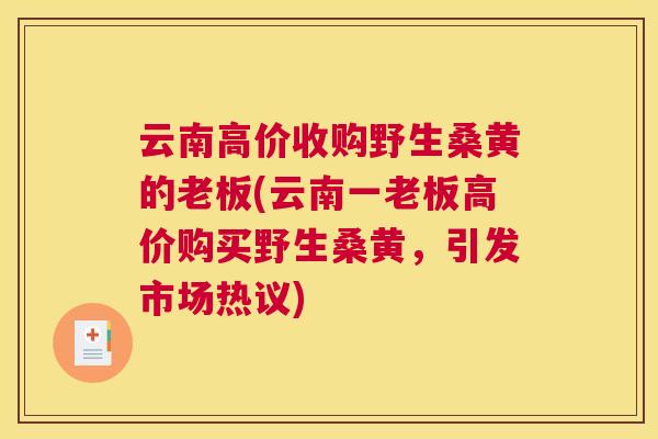云南高价收购野生桑黄的老板(云南一老板高价购买野生桑黄,引发市场热议) 云南高价收购野生桑黄的老板(云南一老板高价购买野生桑黄,引发市场热议)