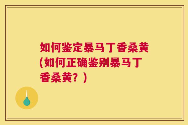 如何鉴定暴马丁香桑黄(如何正确鉴别暴马丁香桑黄?) 如何鉴定暴马丁香桑黄(如何正确鉴别暴马丁香桑黄?)