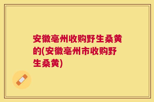 安徽亳州收购野生桑黄的(安徽亳州市收购野生桑黄) 安徽亳州收购野生桑黄的(安徽亳州市收购野生桑黄)