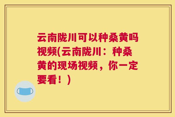云南陇川可以种桑黄吗视频(云南陇川:种桑黄的现场视频,你一定要看!) 云南陇川可以种桑黄吗视频(云南陇川:种桑黄的现场视频,你一定要看!)