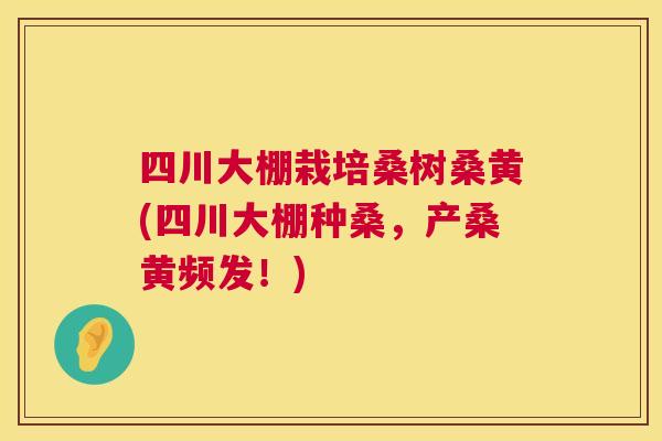 四川大棚栽培桑树桑黄(四川大棚种桑,产桑黄频发!) 四川大棚栽培桑树桑黄(四川大棚种桑,产桑黄频发!)