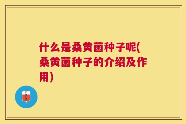 什么是桑黄菌种子呢(桑黄菌种子的介绍及作用) 什么是桑黄菌种子呢(桑黄菌种子的介绍及作用)