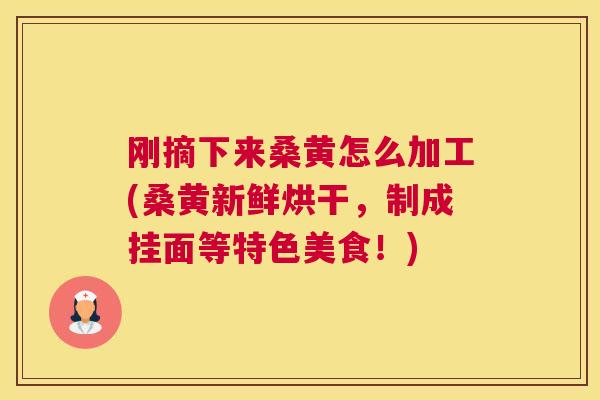 刚摘下来桑黄怎么加工(桑黄新鲜烘干,制成挂面等特色美食!) 刚摘下来桑黄怎么加工(桑黄新鲜烘干,制成挂面等特色美食!)