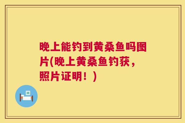晚上能钓到黄桑鱼吗图片(晚上黄桑鱼钓获,照片证明!) 晚上能钓到黄桑鱼吗图片(晚上黄桑鱼钓获,照片证明!)