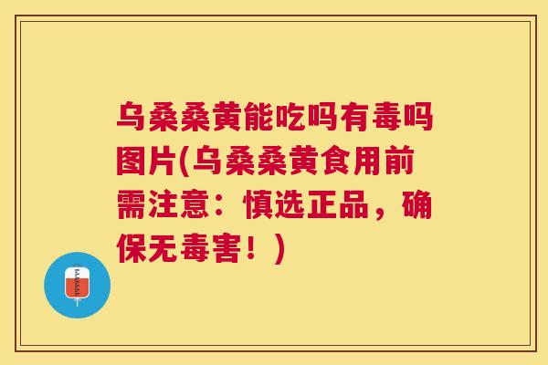 乌桑桑黄能吃吗有毒吗图片(乌桑桑黄食用前需注意:慎选正品,确保无毒害!) 乌桑桑黄能吃吗有毒吗图片(乌桑桑黄食用前需注意:慎选正品,确保无毒害!)