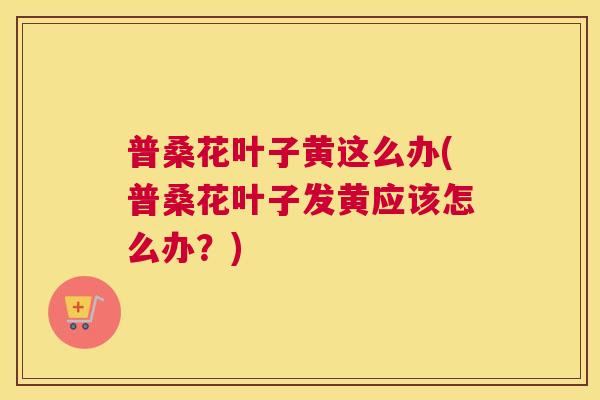 普桑花叶子黄这么办(普桑花叶子发黄应该怎么办?) 普桑花叶子黄这么办(普桑花叶子发黄应该怎么办?)