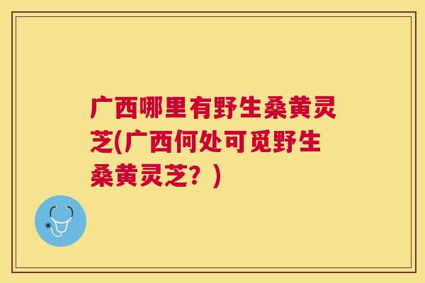 广西哪里有野生桑黄灵芝(广西何处可觅野生桑黄灵芝?) 广西哪里有野生桑黄灵芝(广西何处可觅野生桑黄灵芝?)
