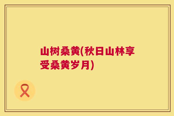山树桑黄(秋日山林享受桑黄岁月) 山树桑黄(秋日山林享受桑黄岁月)