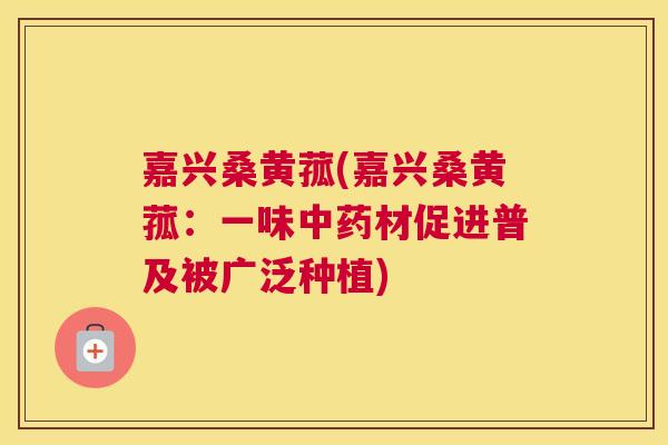 嘉兴桑黄菰(嘉兴桑黄菰:一味材促进普及被广泛种植) 嘉兴桑黄菰(嘉兴桑黄菰:一味材促进普及被广泛种植)
