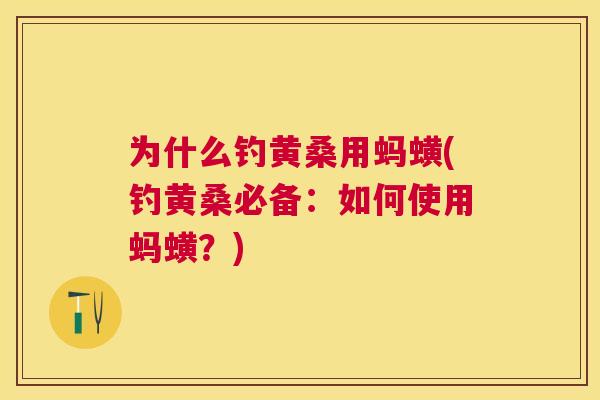 为什么钓黄桑用蚂蟥(钓黄桑必备:如何使用蚂蟥?) 为什么钓黄桑用蚂蟥(钓黄桑必备:如何使用蚂蟥?)