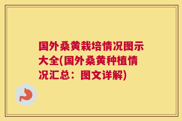 国外桑黄栽培情况图示大全(国外桑黄种植情况汇总：图文详解)