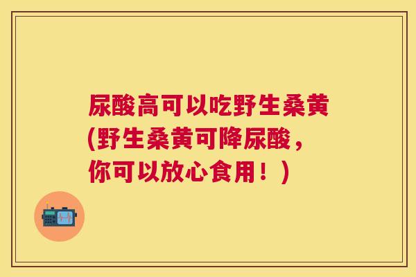 尿酸高可以吃野生桑黄(野生桑黄可降尿酸,你可以放心食用!) 尿酸高可以吃野生桑黄(野生桑黄可降尿酸,你可以放心食用!)