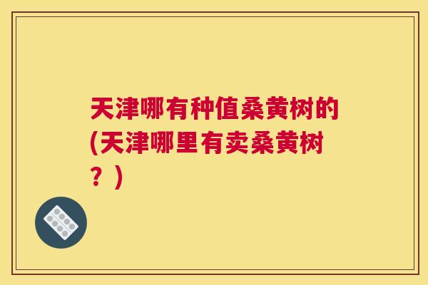 天津哪有种值桑黄树的(天津哪里有卖桑黄树?) 天津哪有种值桑黄树的(天津哪里有卖桑黄树?)