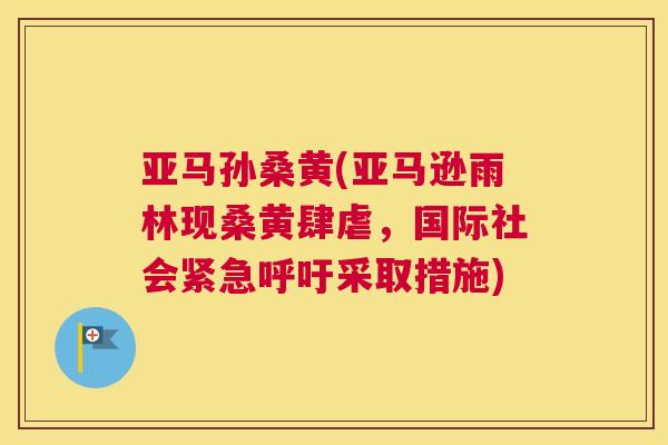 亚马孙桑黄(亚马逊雨林现桑黄肆虐,国际社会紧急呼吁采取措施) 亚马孙桑黄(亚马逊雨林现桑黄肆虐,国际社会紧急呼吁采取措施)
