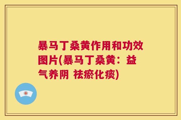 暴马丁桑黄作用和功效图片(暴马丁桑黄:益气养阴 祛瘀化痰) 暴马丁桑黄作用和功效图片(暴马丁桑黄:益气养阴 祛瘀化痰)