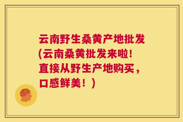 云南野生桑黄产地批发(云南桑黄批发来啦!直接从野生产地购买,口感鲜美!) 云南野生桑黄产地批发(云南桑黄批发来啦!直接从野生产地购买,口感鲜美!)