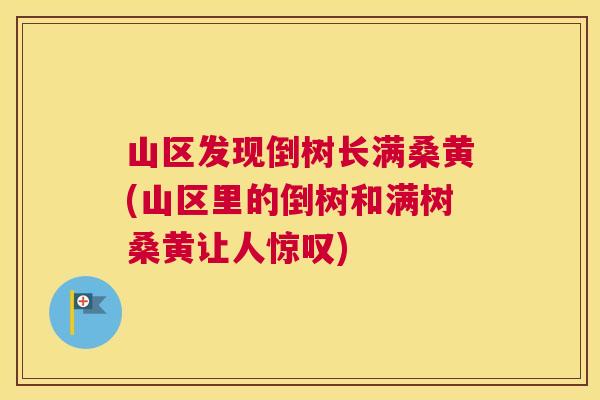 山区发现倒树长满桑黄(山区里的倒树和满树桑黄让人惊叹) 山区发现倒树长满桑黄(山区里的倒树和满树桑黄让人惊叹)