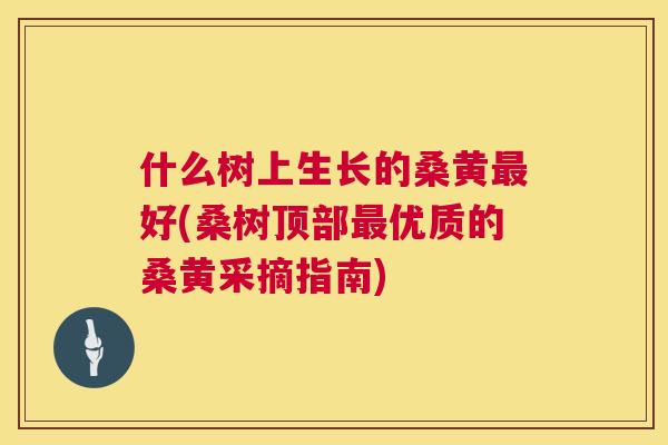 什么树上生长的桑黄好(桑树顶部优质的桑黄采摘指南) 什么树上生长的桑黄好(桑树顶部优质的桑黄采摘指南)