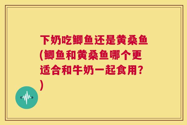 下奶吃鲫鱼还是黄桑鱼(鲫鱼和黄桑鱼哪个更适合和牛奶一起食用?) 下奶吃鲫鱼还是黄桑鱼(鲫鱼和黄桑鱼哪个更适合和牛奶一起食用?)